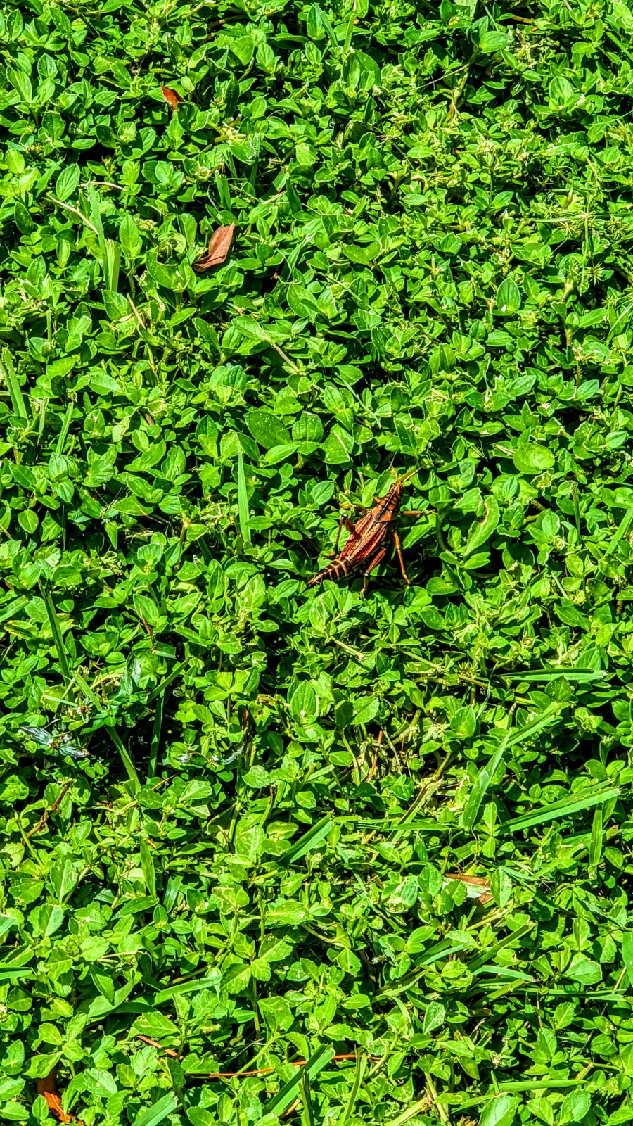 Photography capture
