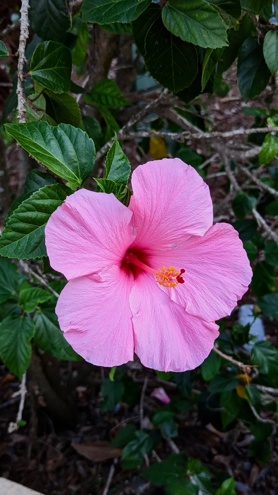 Photography capture
