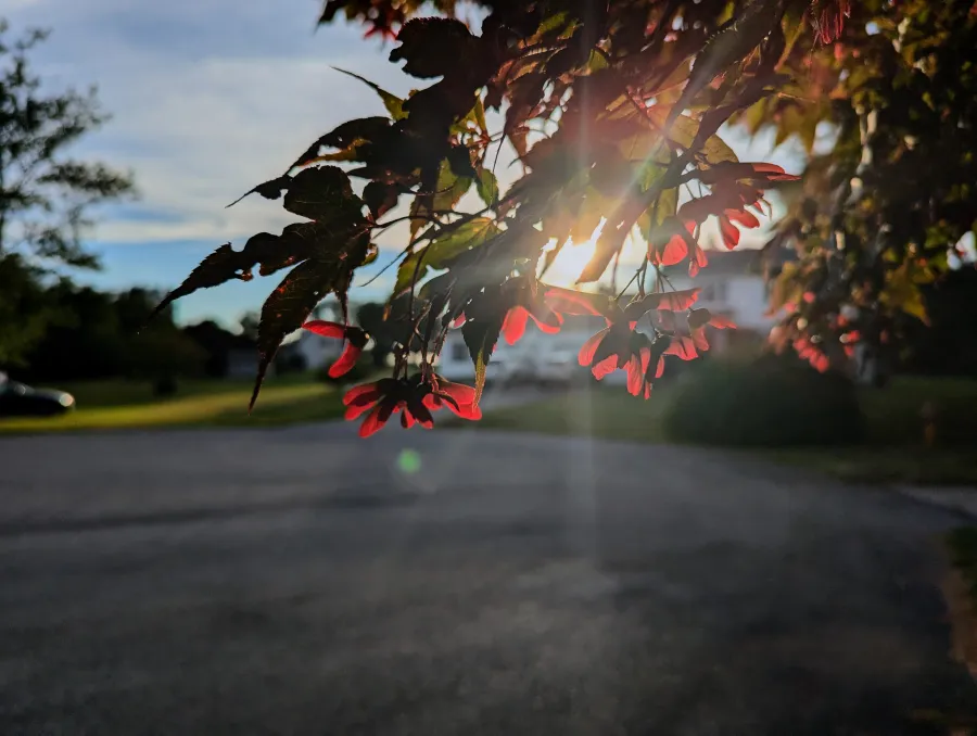 Photography capture
