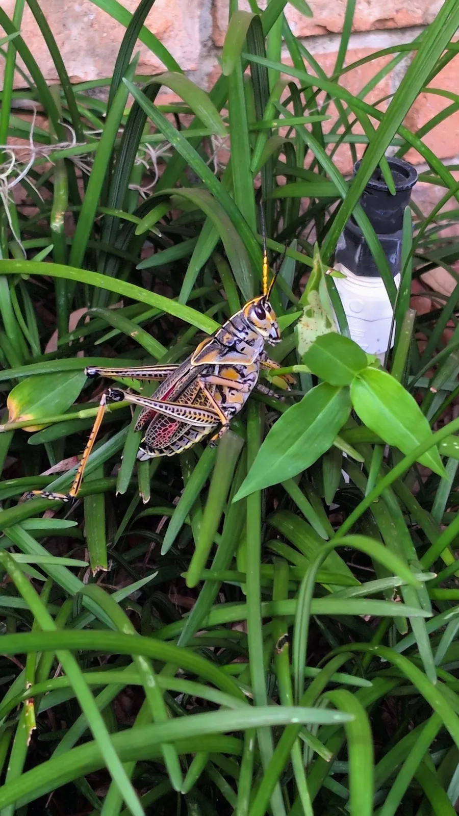 Photography capture